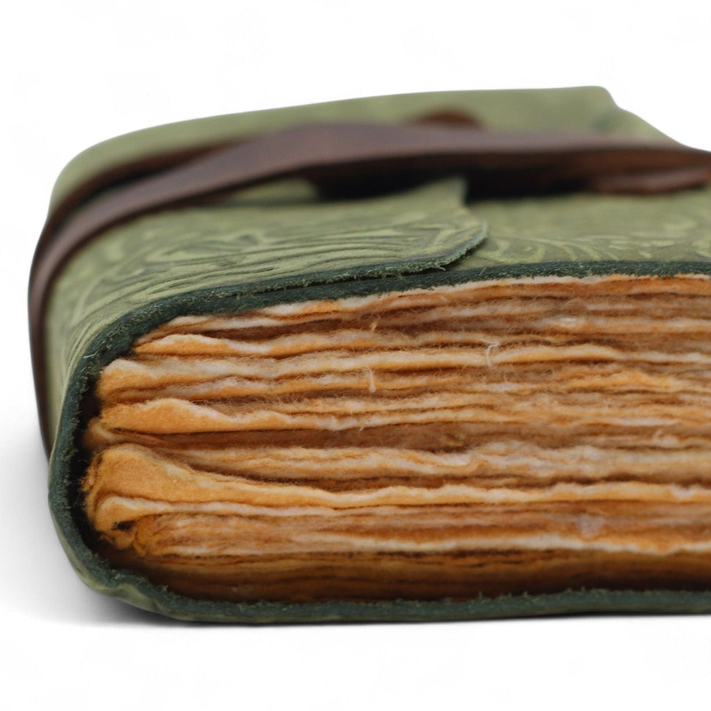 Close-up of a green leather-bound book with brown pages on a white background