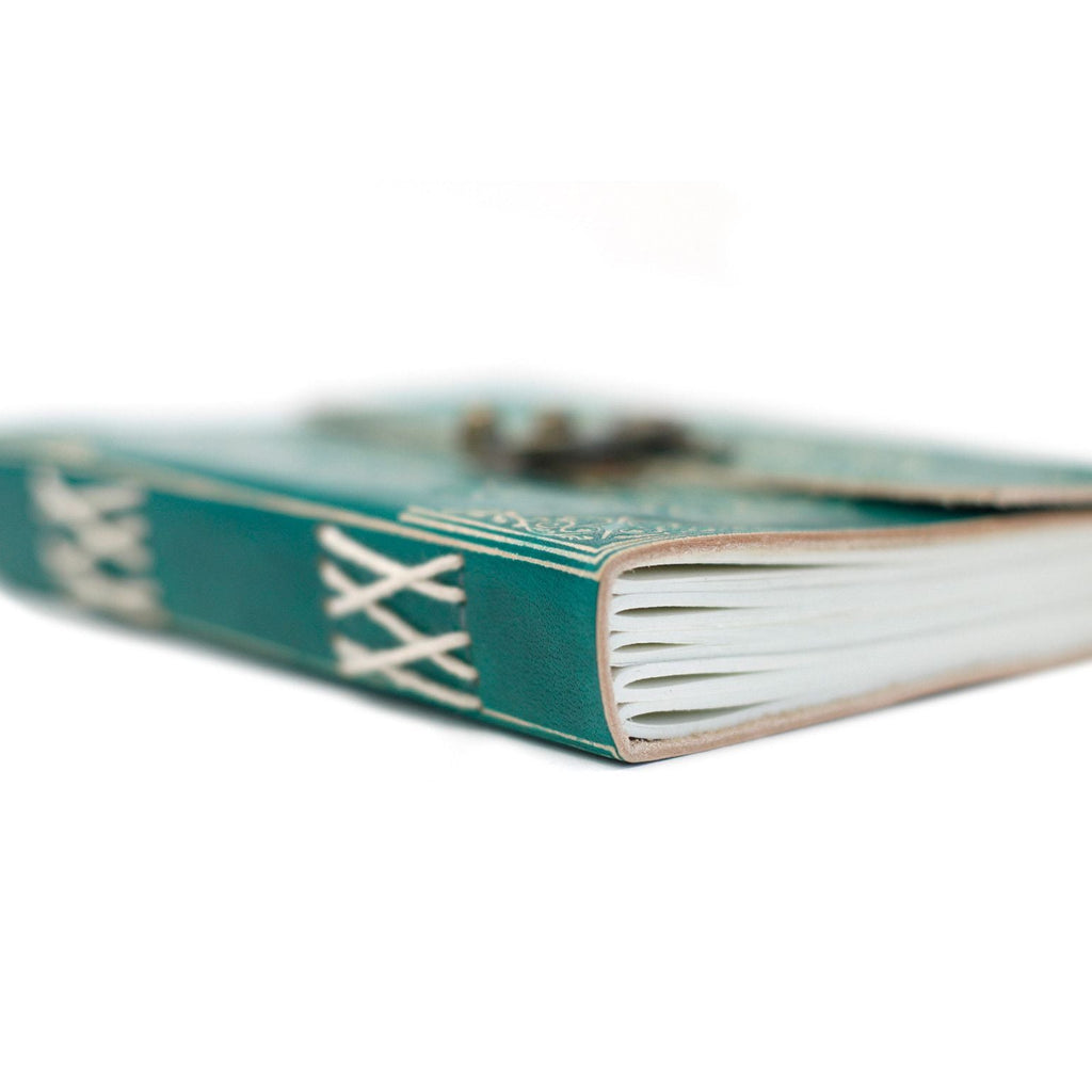 Teal book with white text on a white background