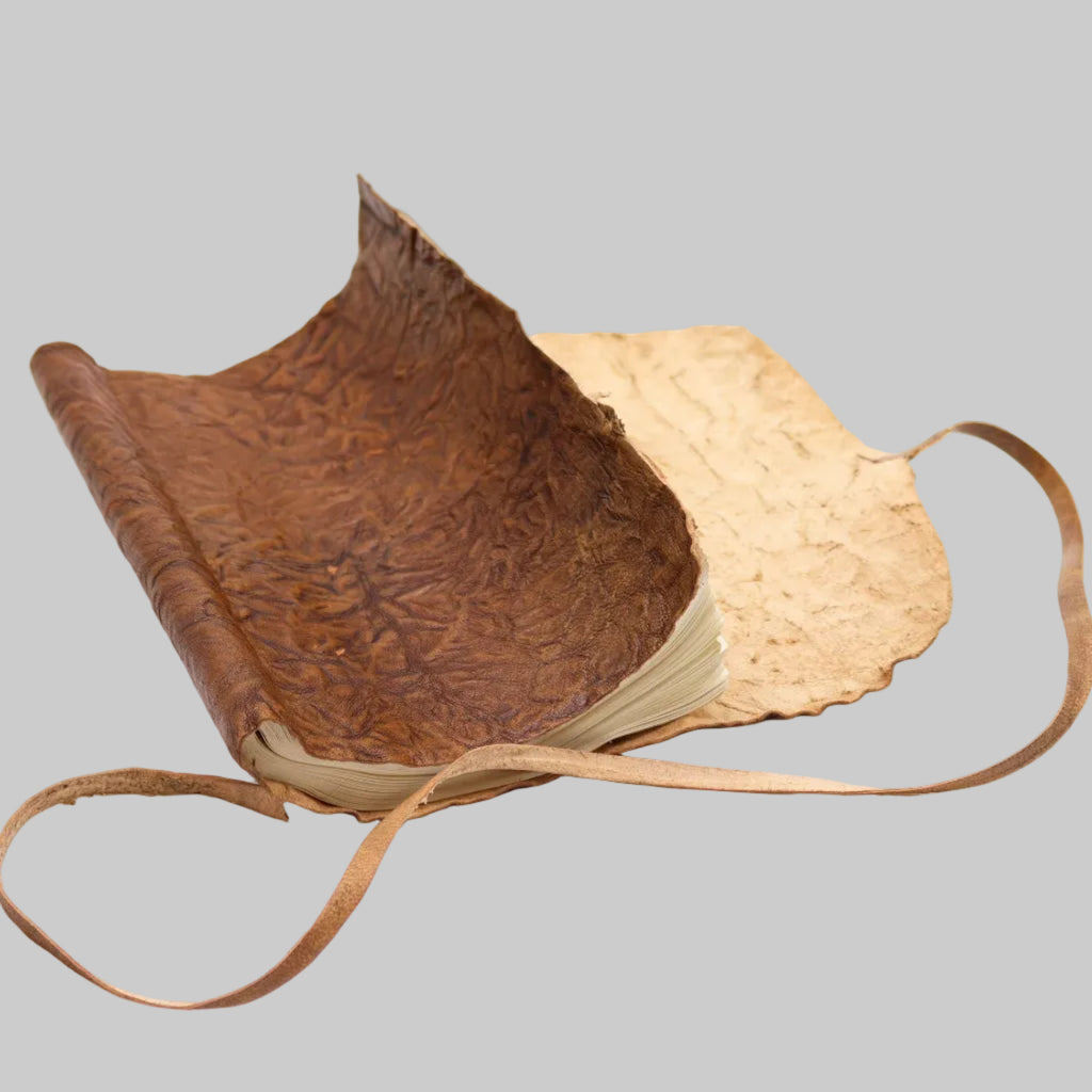 Brown leather-bound book with a beige interior on a white background